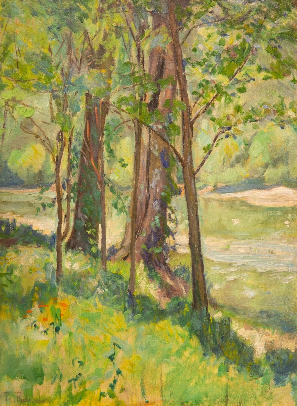 Un ruscello nel bosco